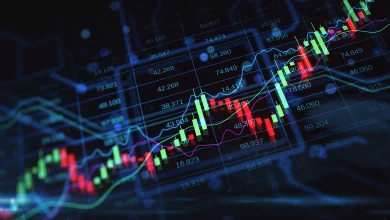 الأرباح والتقارير